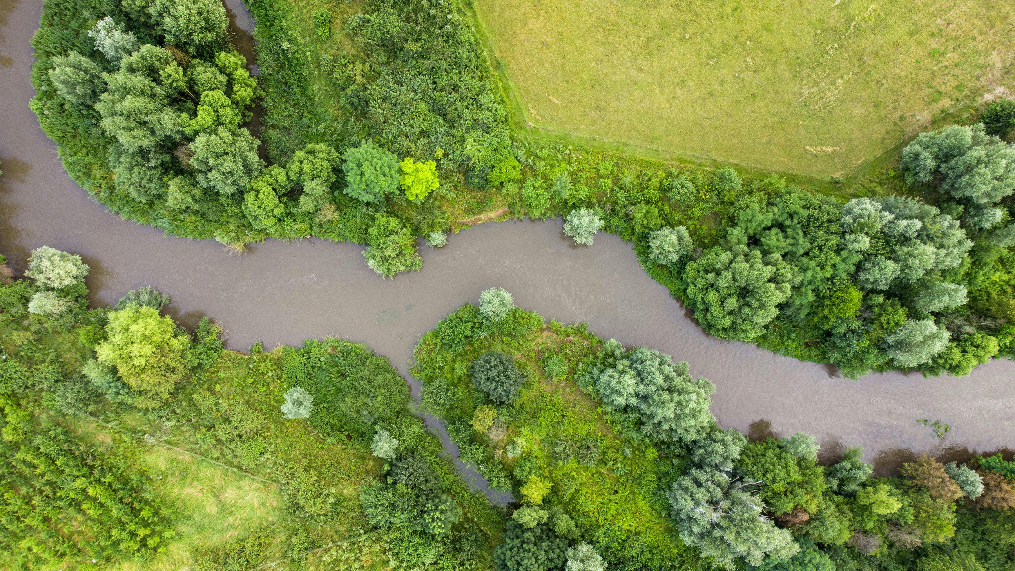 Luftaufnahme eines Flusses, der schlängelnd zwischen Bäume und Wiesen hindurchfließt